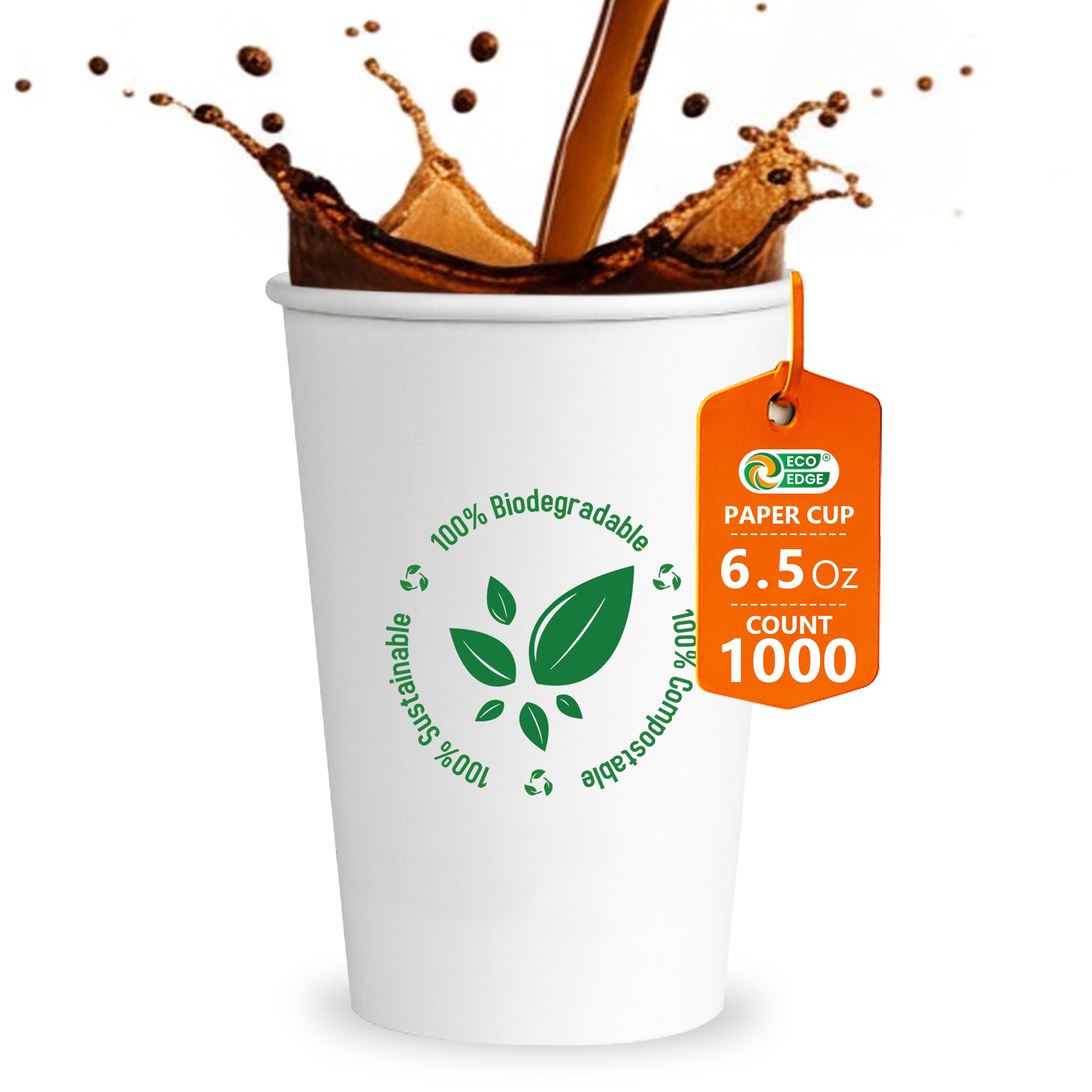 EcoEdge 6.5 Oz Disposable Heavy-Duty Party Paper Cups | 100% Compostable (Pack of 1000)