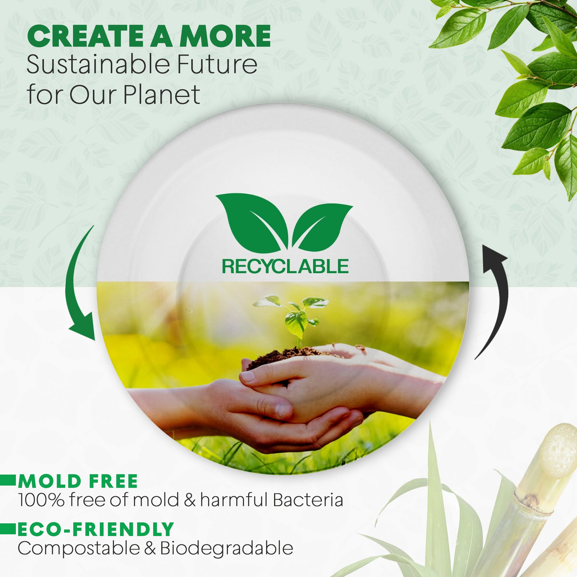 EcoEdge 6 Oz Round White Disposable Sugarcane Fiber Bowls | 100% Biodegradable