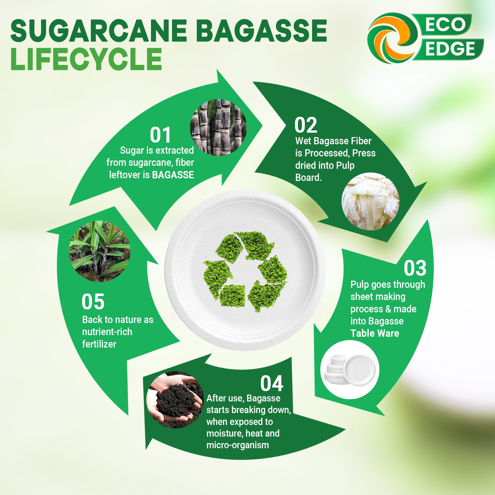 EcoEdge 9 Inch Round White Disposable Bagasse Plates | 100% Organic