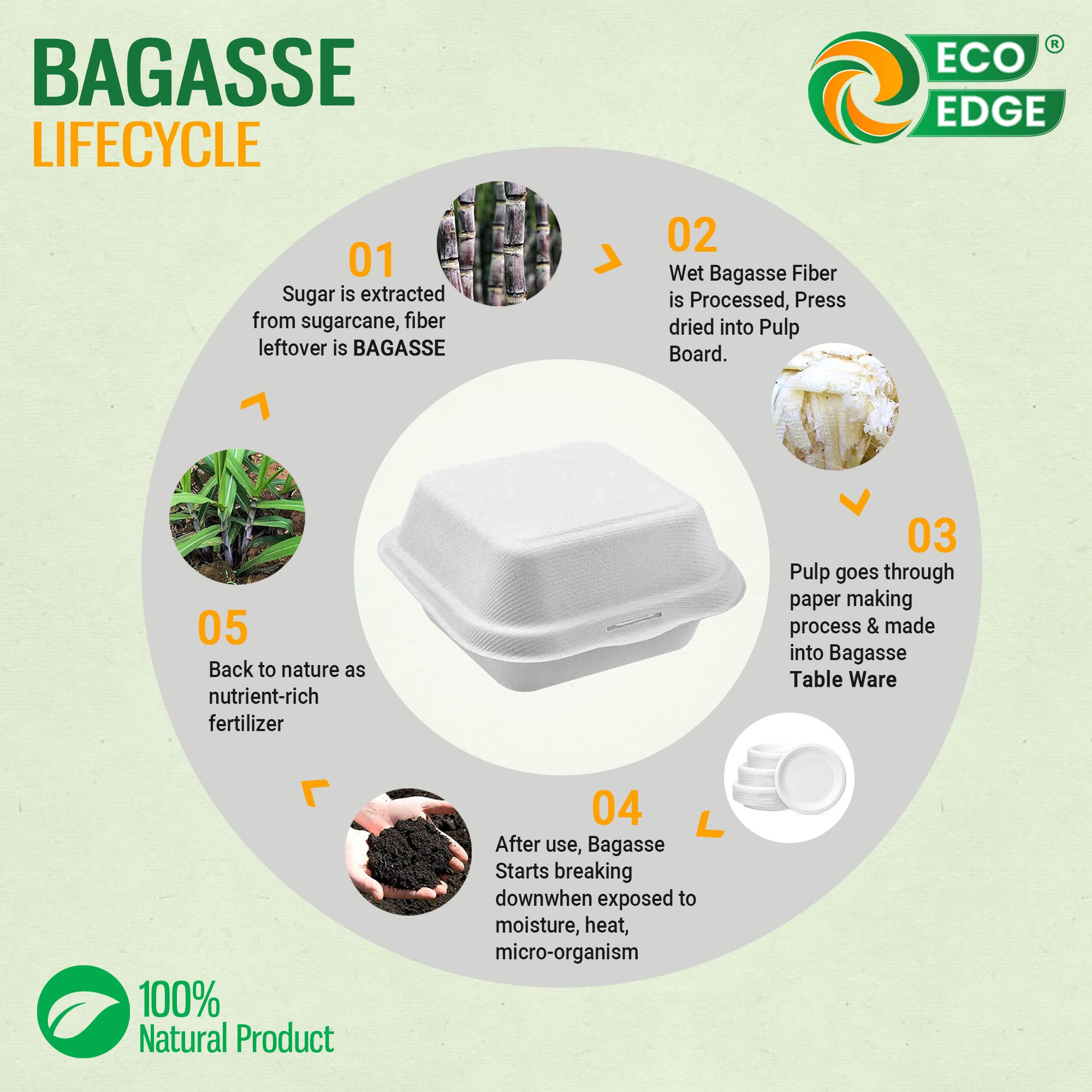 EcoEdge 6 Inch Square White Clamshell | 100% Organic