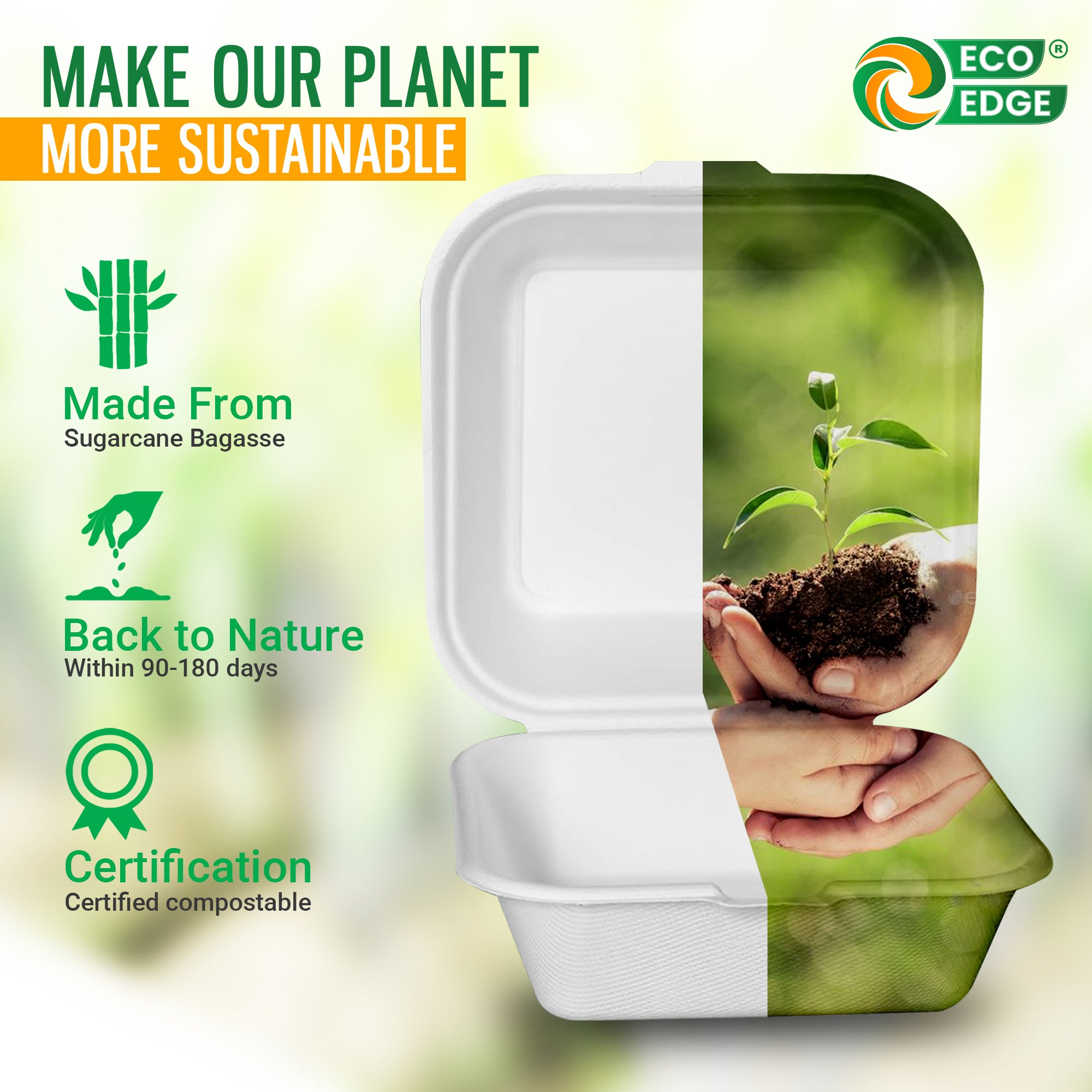 EcoEdge 6 Inch Square White Clamshell | 100% Organic