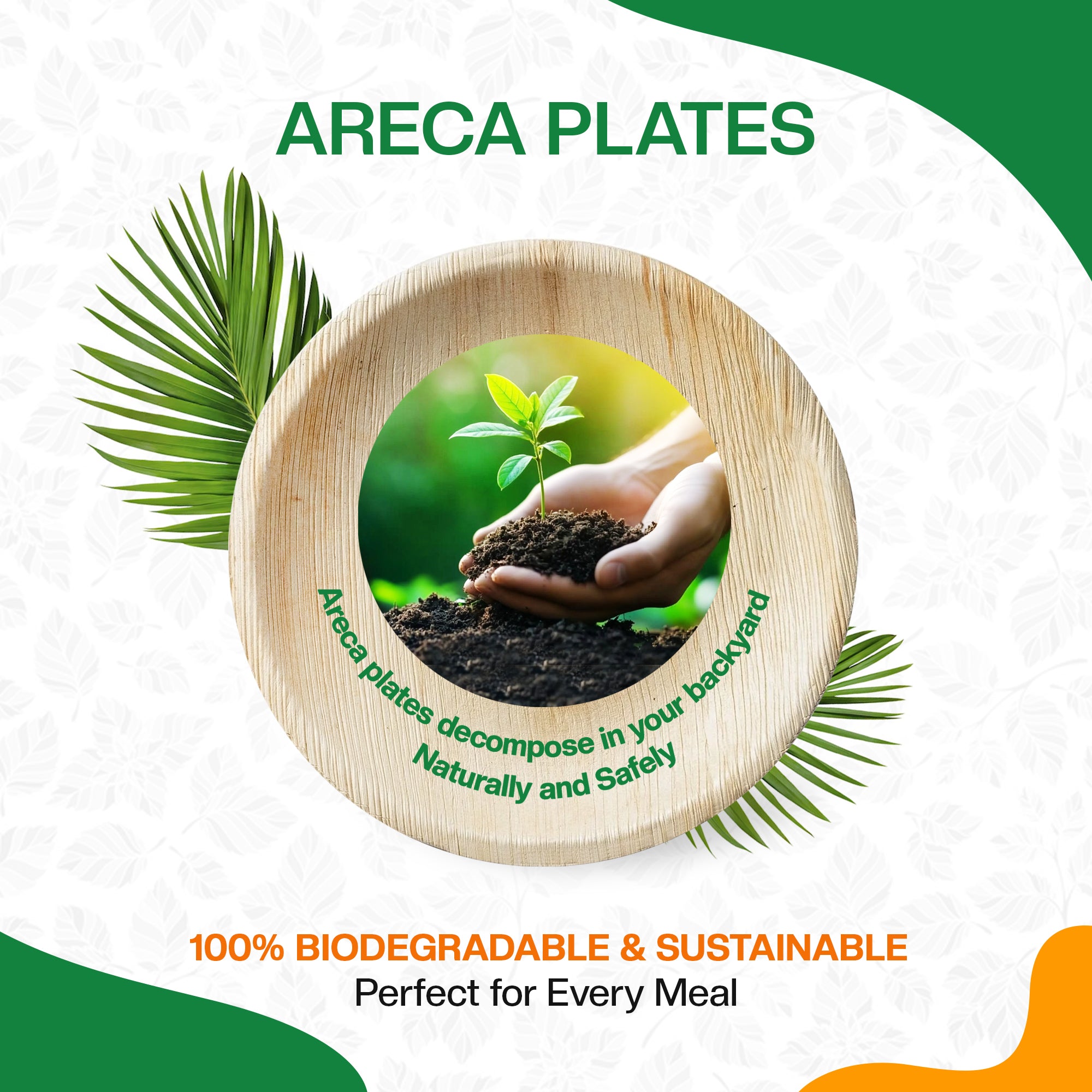 EcoEdge 6 Inch Round Areca Palm Leaf Plates | 100% Organic
