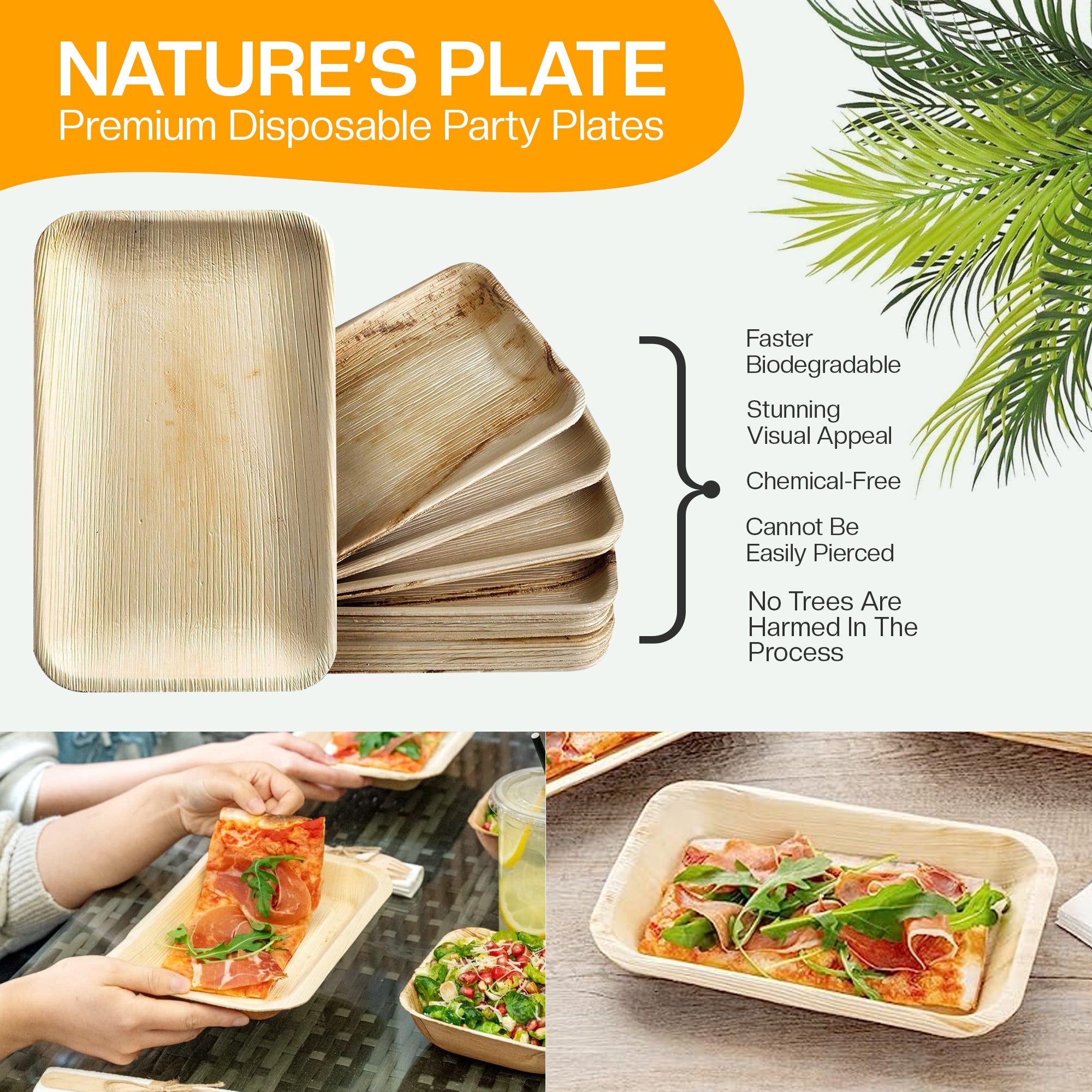 EcoEdge 6x4 Inch Rectangle Areca Palm Leaf Plates | 100% Biodegradable