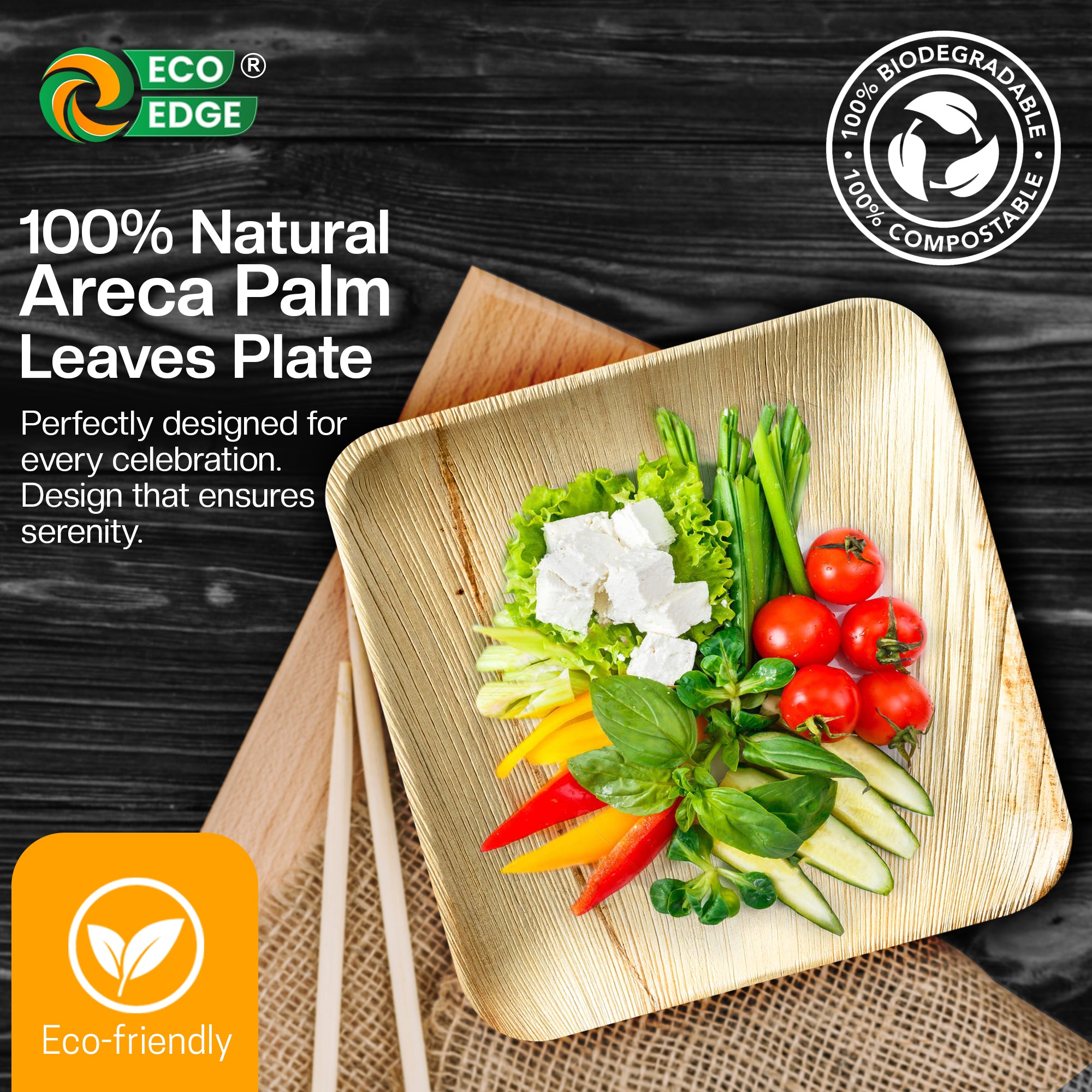 EcoEdge 9 Inch Areca Palm Leaf Square Plates | 100% Compostable