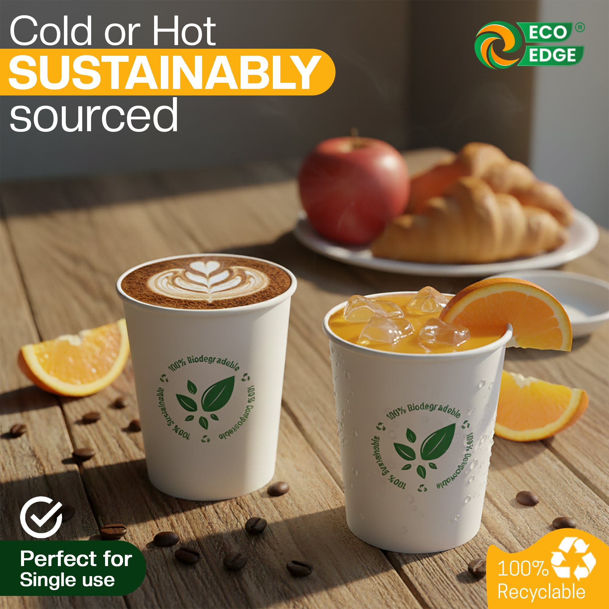 EcoEdge 6.5 Oz Disposable Heavy-Duty Party Paper Cups | 100% Compostable (Pack of 1000)